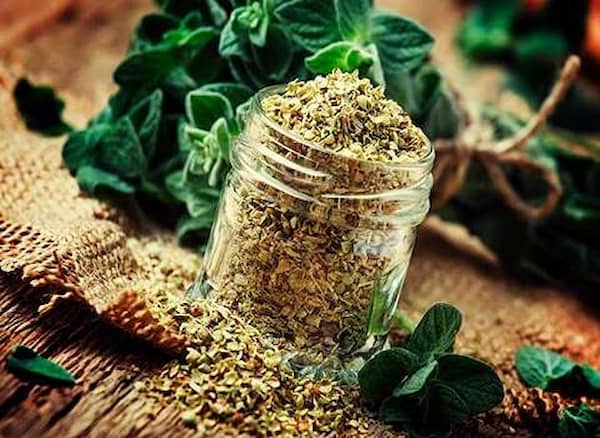 قیمت خرید پونه خشک کوهی با فروش عمده